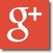 googleplus icon.fw